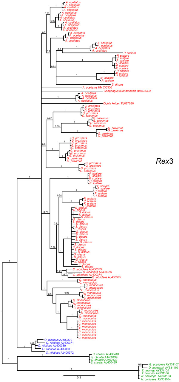 Figure 7