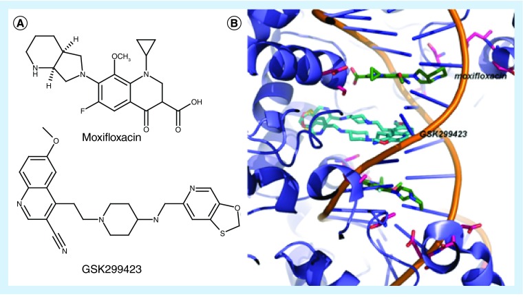 Figure 3. 