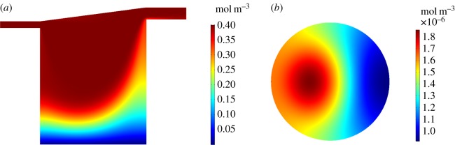 Figure 6.