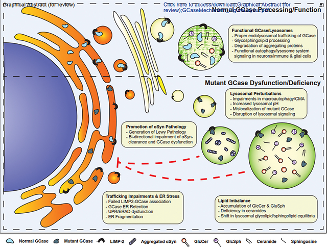 graphic file with name nihms-1877876-f0001.jpg