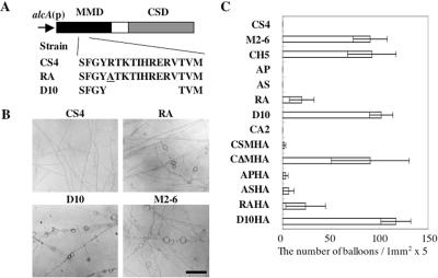 Figure 6.