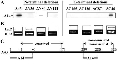 Fig 3.