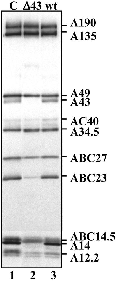 Fig 4.