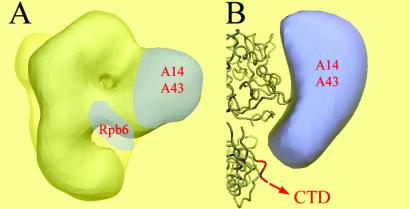 Fig 6.