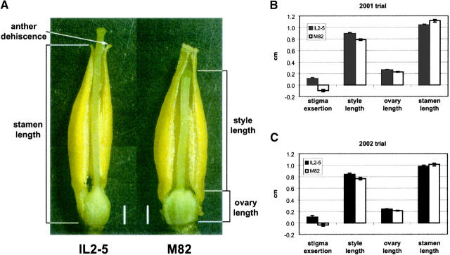 Figure 1.—