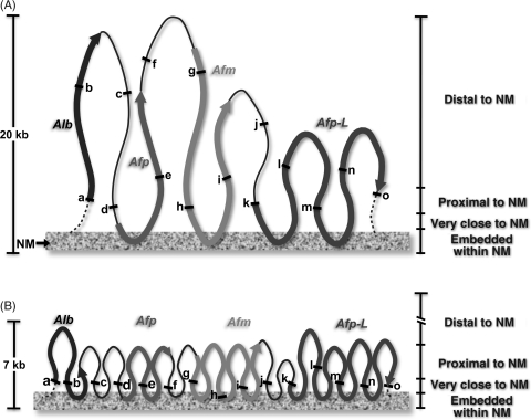 Figure 6