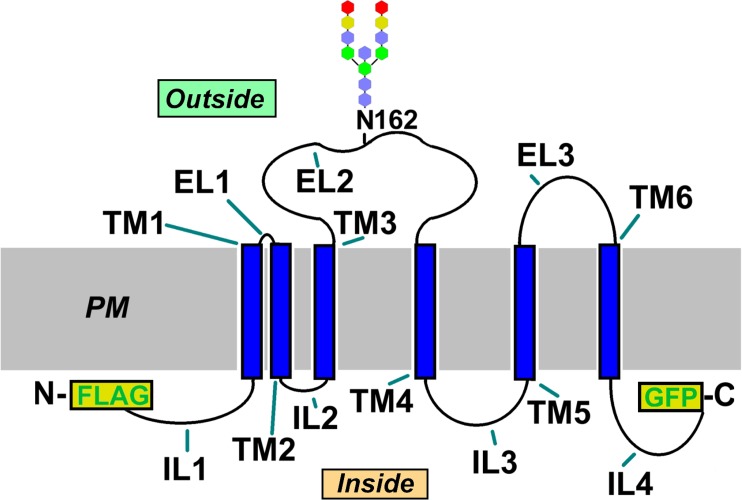 Fig 9