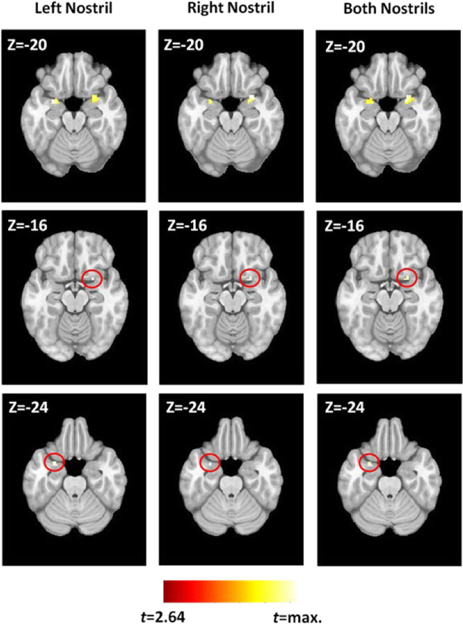 Figure 6.