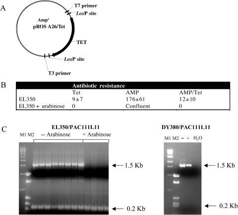 Figure 6.