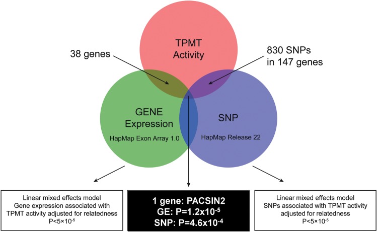 Figure 2.