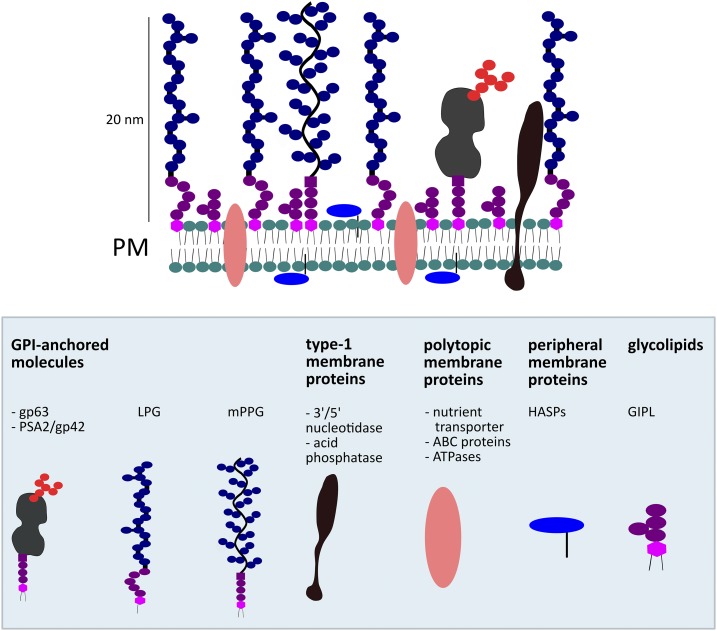 Figure 2.