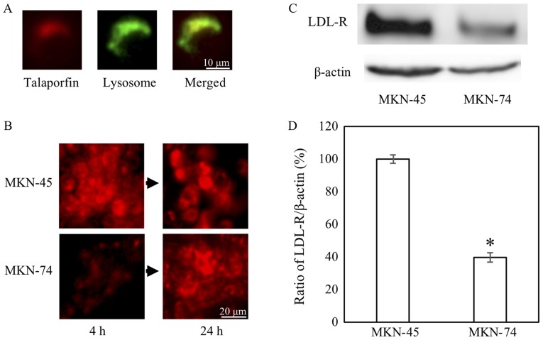 Figure 2.