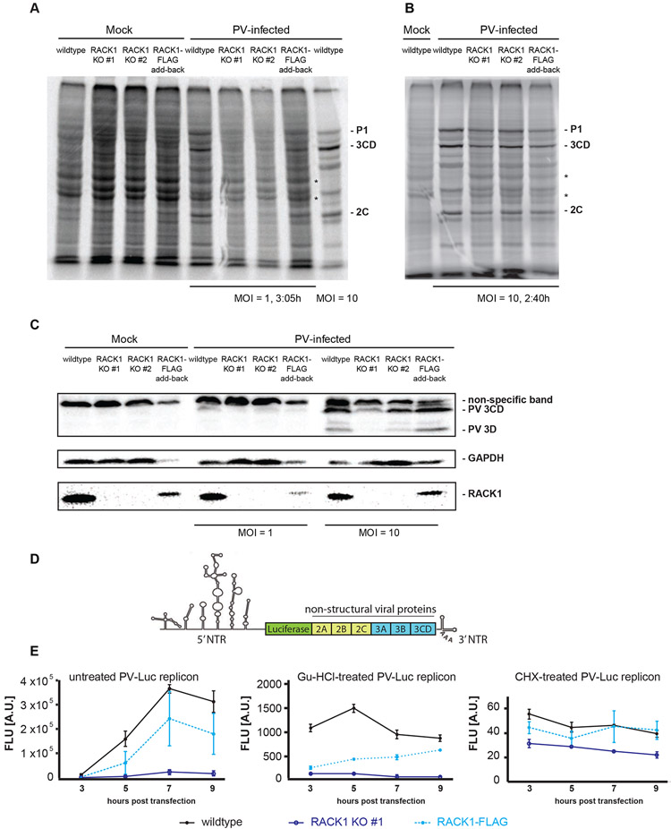 Figure 4: