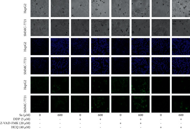 Figure 10