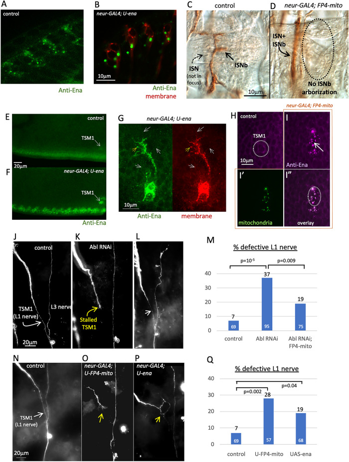 FIGURE 3: