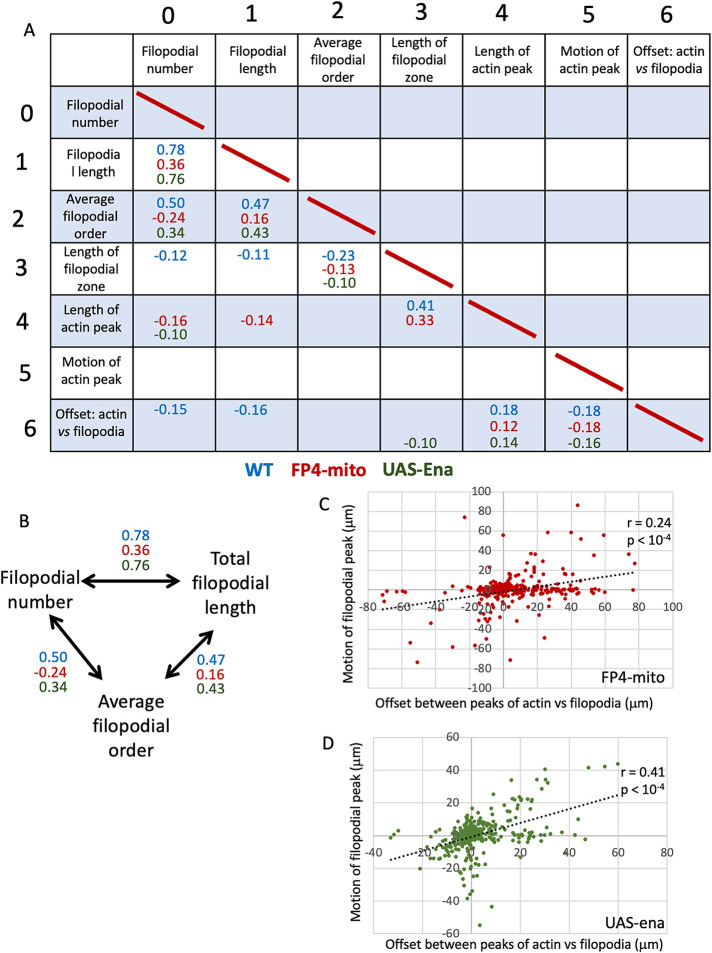 FIGURE 6: