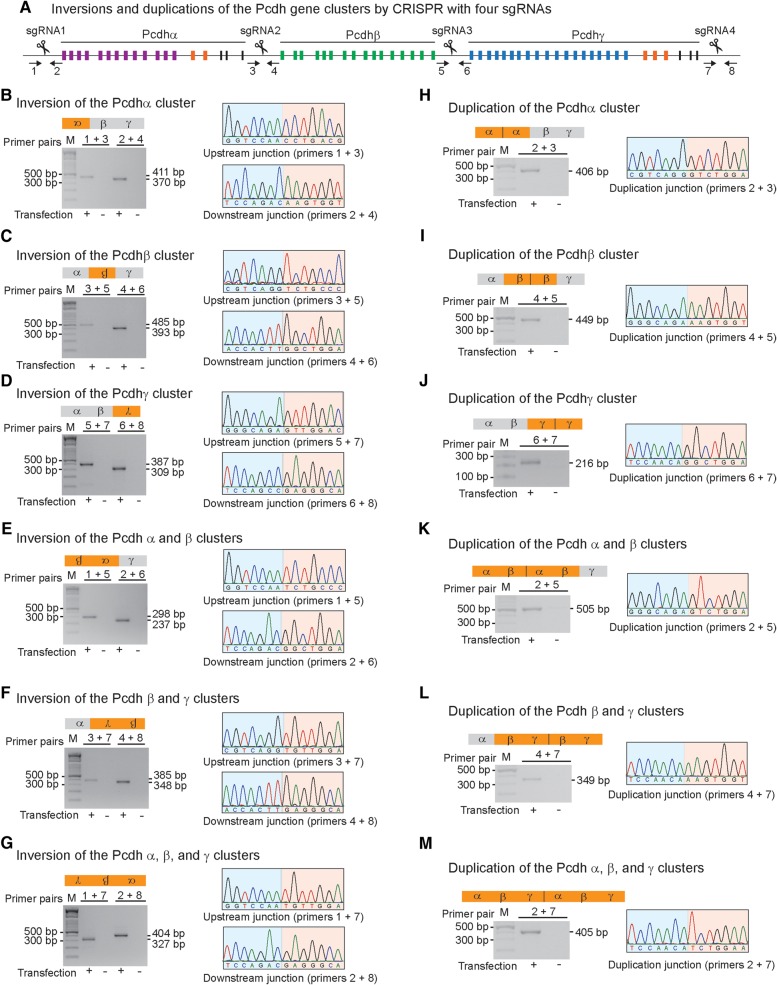 Figure 4