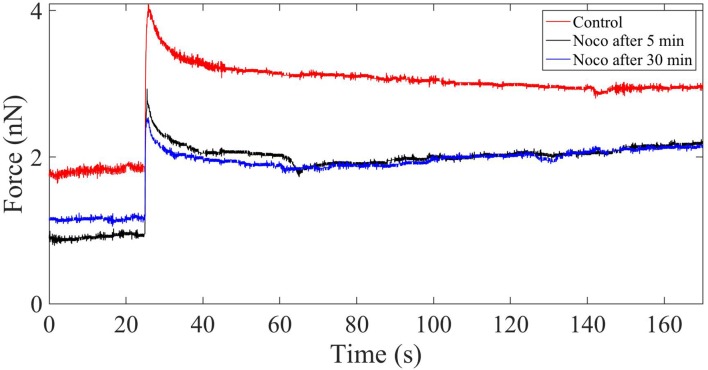 Figure 3—figure supplement 4.