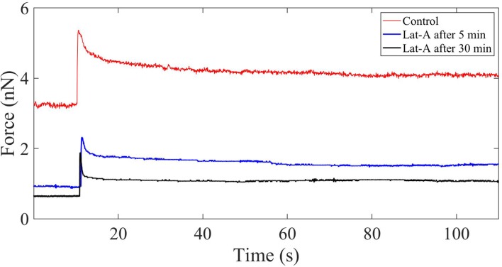 Figure 3—figure supplement 5.