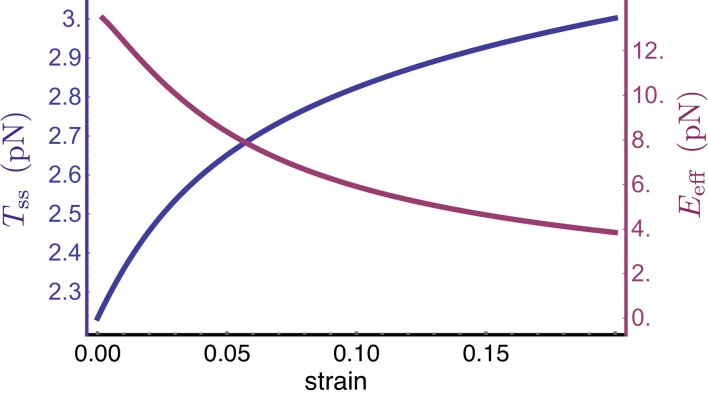 Figure 5—figure supplement 1.