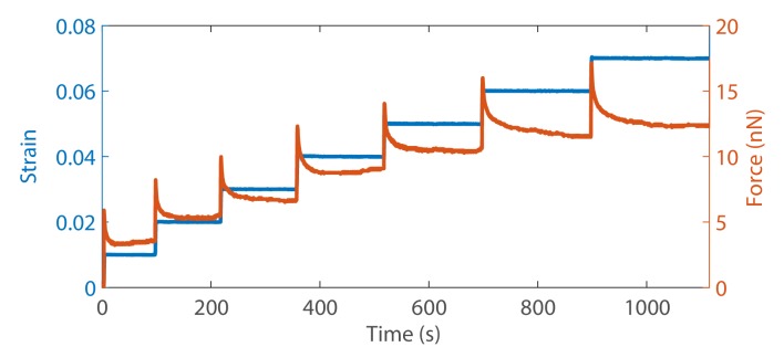 Figure 3—figure supplement 1.