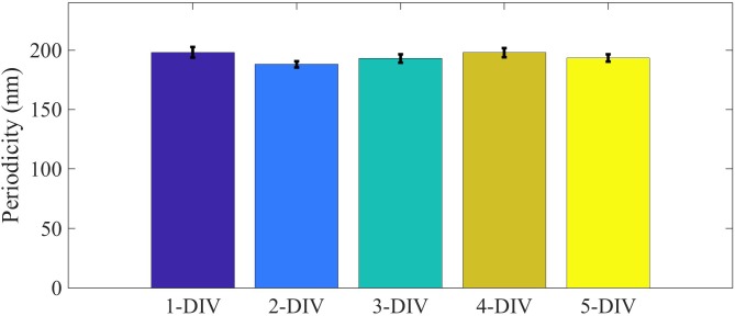 Figure 4—figure supplement 3.