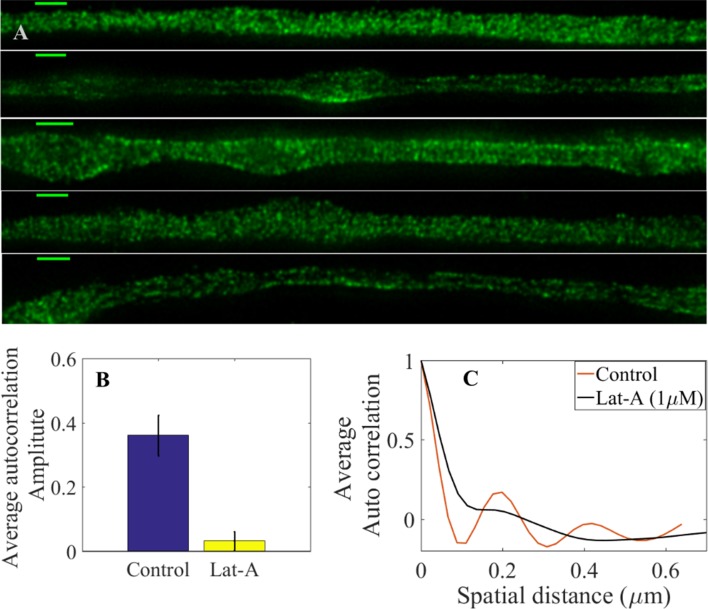 Figure 4—figure supplement 4.