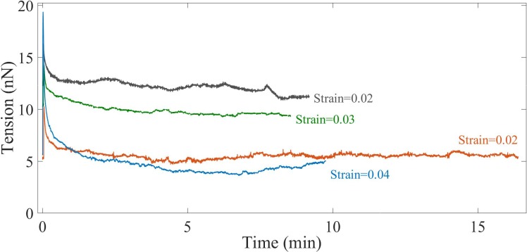 Figure 2—figure supplement 2.