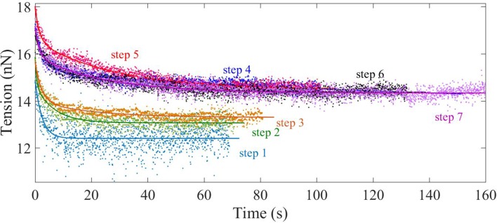 Figure 5—figure supplement 2.