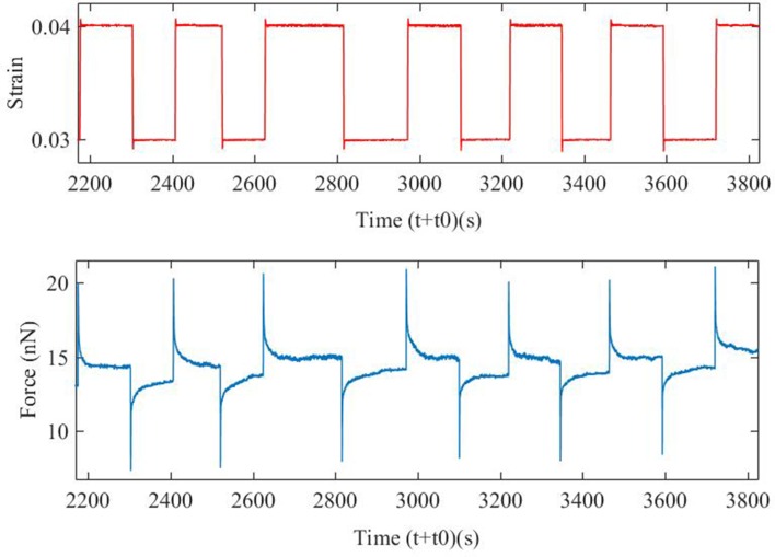 Figure 3—figure supplement 3.