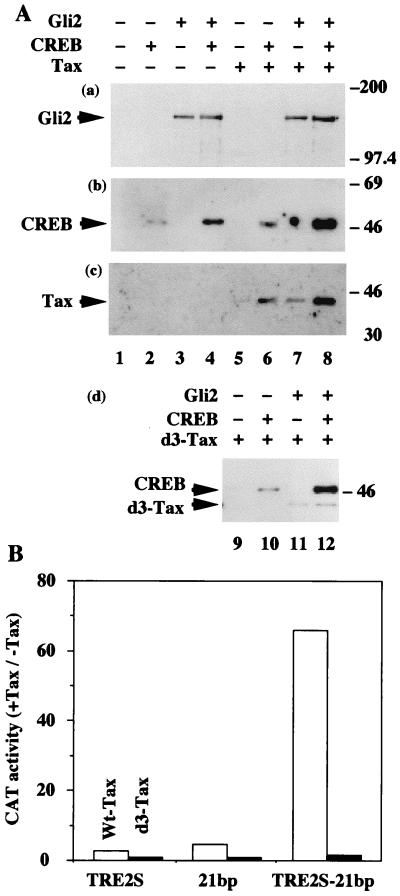 FIG. 3