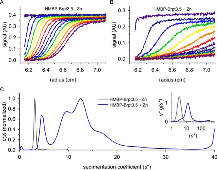 Figure 2.