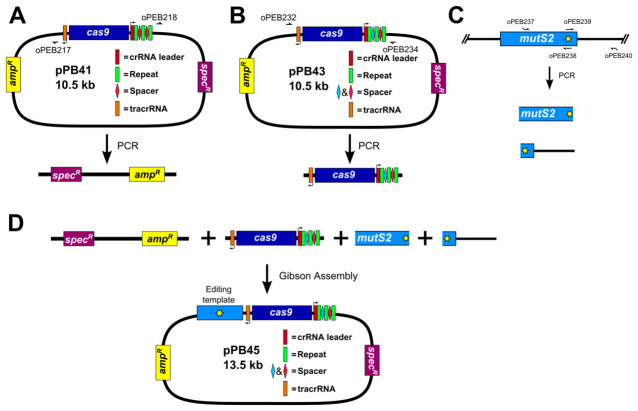 Figure 4.