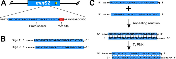 Figure 2.