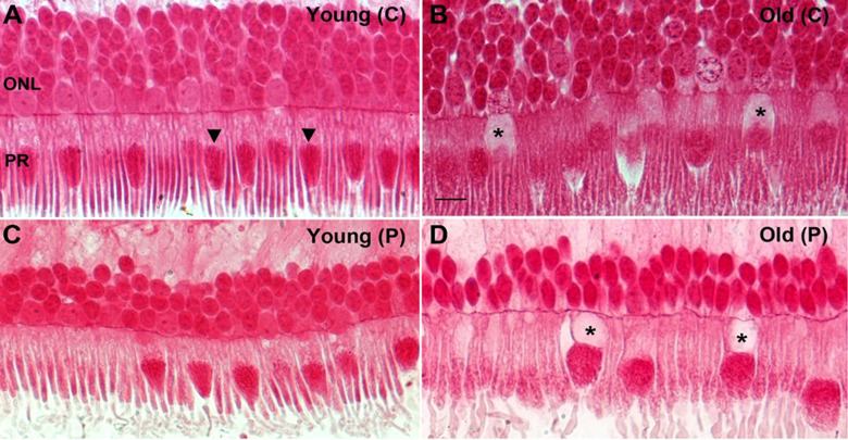 Fig 6