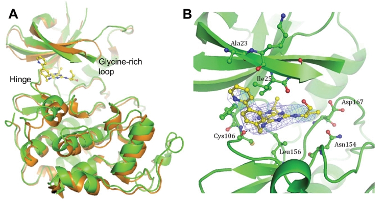 Figure 5.