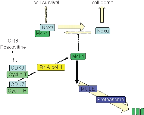 Figure 9.