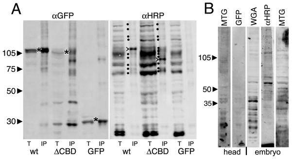 Fig 8