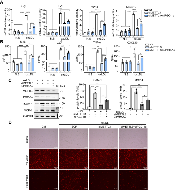 Figure 6