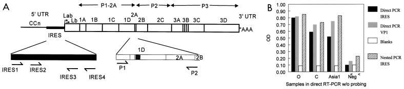 FIG. 1