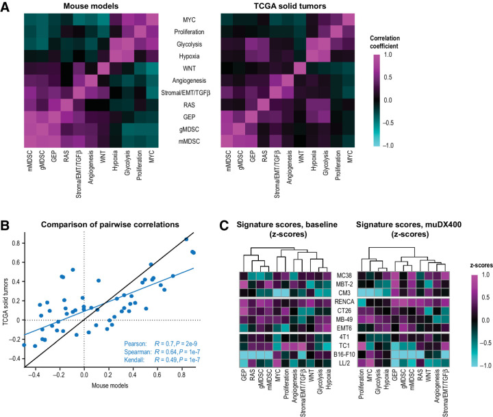 Figure 5. Exploratory GEPs associated with resistance to anti-PD-1 inhibition (muDX400) show similar expression patterns in syngeneic tumor models. A, Additional reference signatures (15) are summarized in the covariance plots for mouse tumors (present study) and human solid tumors (TCGA). Heat maps compare the pairwise correlation coefficients for all the signatures, evaluated across tumor samples. The color gradient represents the pairwise correlations within each species. The correlation between mouse and human, of the pairwise correlation coefficients within each species (from A), is shown in the scatterplot in B. Expression of the reference signatures, at baseline or after muDX400 treatment, is shown in the heat maps across the tumor models in C. The color gradient represents the z-scores (of log2 FPKM values) of each signature (columns) across the mouse models (rows). EMT, epithelial-mesenchymal transition; FPKM, fragments per kilobase million; GEP, gene expression profile; gMDSC, granulocytic myeloid–derived suppressor cells; mMDSC, monocytic myeloid–derived suppressor cells; TCGA, The Cancer Genome Atlas; TGF-β, transforming growth factor β.