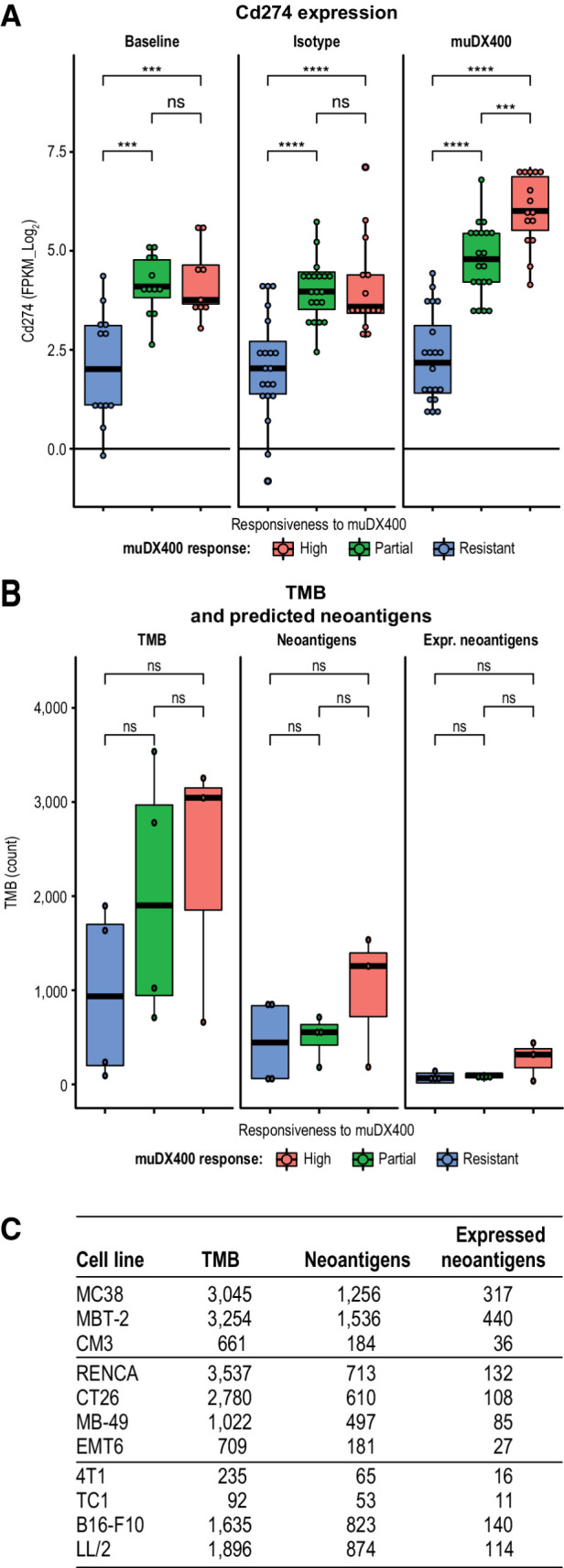 Figure 4. Evaluation of clinically validated biomarkers in syngeneic tumor models. RNA-sequencing analysis was performed on five independent tumors across 11 syngeneic tumor mouse models after anti-PD-1 treatment. Tumors were harvested 4 days following the second dose of muDX400 or muIgG1 control antibody (treatment administered on day 0 and day 4). Models were classified as resistant, partial, or high as previously defined. A, Boxplots of Cd274 (Pdl1), depicting the absolute gene expression (log2 FPKM) across individual mouse in each tumor model grouped by responsiveness to muDX400 and by treatment. Significance determined by t test (NS, P > 0.05; *, P ≤ 0.05; **, P ≤ 0.01; ***, P ≤ 0.001; ****, P ≤ 0.0001). B, TMB (all somatic nonsynonymous mutations) and predicted neoantigens (total and expressed at the transcriptional level) are shown across the 11 mouse tumor cell lines (grown in vitro). None of the comparisons reached statistical significance (by t test) but they did show a trend (NS, P > 0.05). C, Individual count data. FPKM, fragments per kilobase million; muIgG1, mouse immunoglobulin G1; NS, not sufficient; PD-1, programmed death 1; TMB, tumor mutational burden.