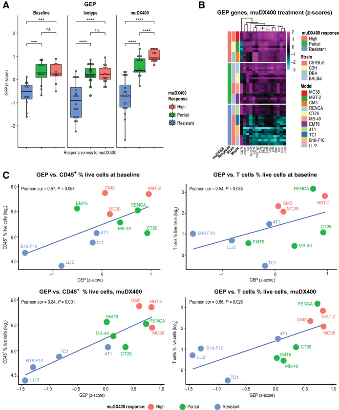 Figure 3. Immune-related murine-GEP signature associates with responsiveness to anti-PD-1 (muDX400) in syngeneic tumor models. RNA-sequencing analysis was performed on five independent tumors across 11 syngeneic tumor models after anti-PD-1 treatment. Tumors were harvested 4 days following two doses of muDX400 or muIgG1 control antibody (treatment administered on day 0 and day 4). Models were classified as resistant, partial, or high as previously defined. A, A 15-gene murine-GEP score, corresponding to the T-cellinfGEP signature (9), without the three HLA genes, was evaluated before and after muDX400 or after muIgG1 isotype control antibody treatment represented as mean z-score (of log2 FPKM values). Significance was determined by t test (NS, P > 0.05; *, P ≤ 0.05; **, P ≤ 0.01; ***, P ≤ 0.001; ****, P ≤ 0.0001). B, Heat map of the genes from the 15-gene murine-GEP score. The color gradient shows the z-score (of log2 FPKM values) of each gene (columns) across the mouse samples (rows) treated with muDX400. C, Correlation of murine-GEP and immune cell frequencies at baseline. The 15-gene murine-GEP scores (mean z-scores of the log2 FPKM values) at baseline or after muDX400 treatment are plotted against the percentage of CD45+ cells or T cells (of total live cells, at baseline) in each tumor model. FPKM, fragments per kilobase million; GEP, gene expression profile; HLA, human leukocyte antigen; muIgG1, mouse immunoglobulin G1; ns, not significant; PD-1, programmed death 1; T-cellinfGEP, T-cell-inflamed gene expression profile.