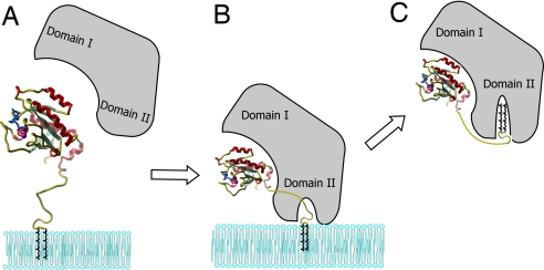 Fig. 4.