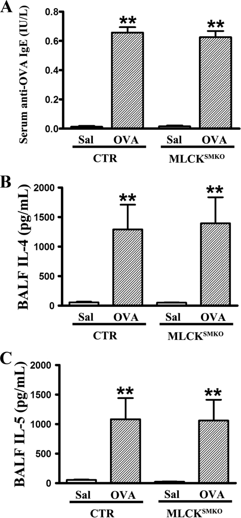 FIGURE 9.