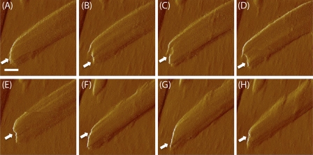 FIGURE 6.