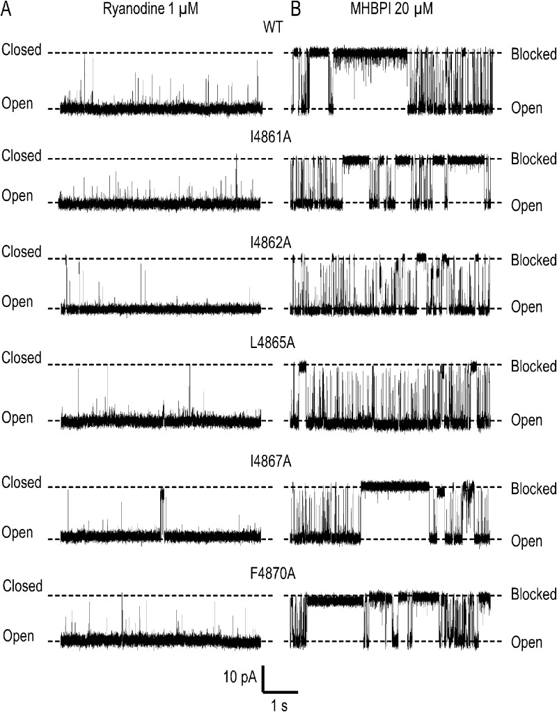 Figure 10.