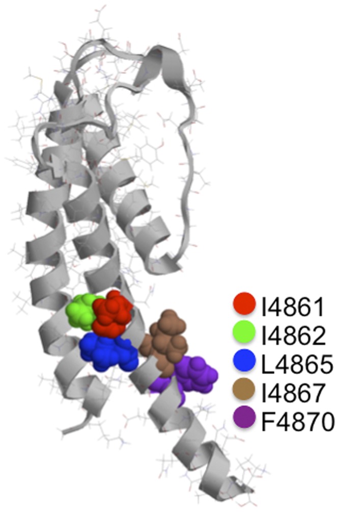 Figure 4.