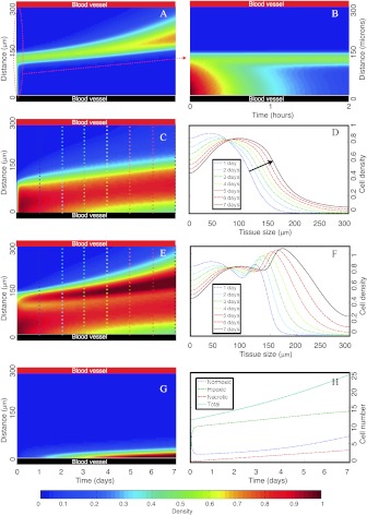 Fig. 4