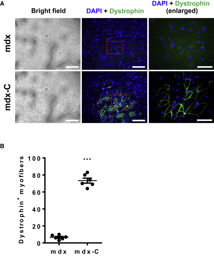 Figure 6